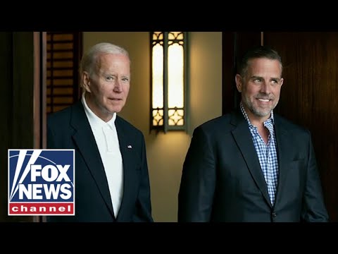 You are currently viewing Bombshell report alleges Biden family had 150+ suspicious bank activity flags