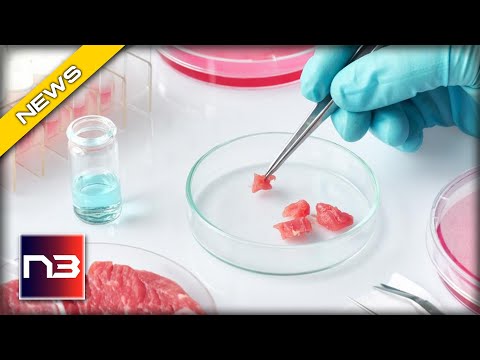 You are currently viewing Coming To Your Grocery Store Soon: FDA Approved Meat Grown in a Lab