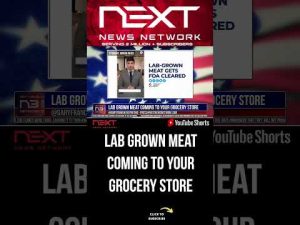 Read more about the article Lab Grown Meat Coming To Your Grocery Store #shorts