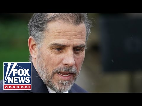 You are currently viewing Hunter Biden whistleblower says he faced retaliation: ‘I expect it to continue’