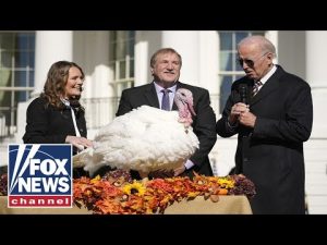 Read more about the article Biden pardons the National Thanksgiving Turkey in a ceremony at the White House