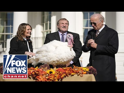 You are currently viewing Biden pardons the National Thanksgiving Turkey in a ceremony at the White House