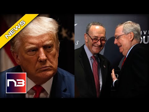 You are currently viewing MAGA Purge Begins As Top Swampers Schumer and McConnell Join Forces To Crush The Will of The People