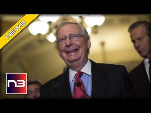 Read more about the article RINO McConnell Retains Grip on Power After Knocking Back Challenger Rick Scott