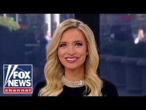 Read more about the article McEnany: They’re just throwing spaghetti at the wall now