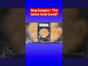 Read more about the article Kat Timpf: If you want people to start eating bugs, you have to start when they’re babies #shorts