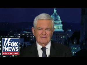 Read more about the article Newt Gingrich: Pelosi’s decision came back to bite her