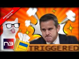 Read more about the article HAHA! RINO Kinzinger Loses It, Threatens VIOLENCE After a Cartoon Cat Triggers Him To Issue Threat