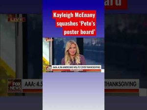 Read more about the article Kayleigh McEnany bIasts Buttigieg: I don’t have much faith in DOT