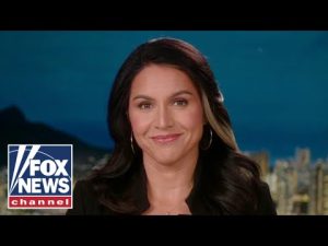 Read more about the article Tulsi Gabbard: The liberal media is on full damage control