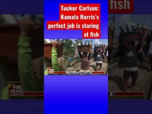 Read more about the article Tucker Carlson: Our border czar just humiliated herself #shorts