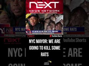 Read more about the article NYC MAYOR: WE ARE GOING TO KILL SOME RATS #shorts