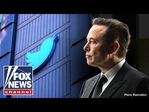 You are currently viewing Elon’s exposing Twitter censorship ‘will go a long way’: Karol Markowicz