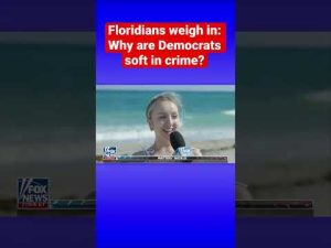 Read more about the article Floridians explain why Florida is superior to New York #shorts