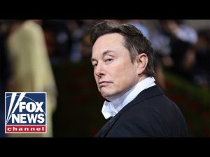 Read more about the article Liberal actress claims Elon Musk’s Twitter is now a ‘turf war’