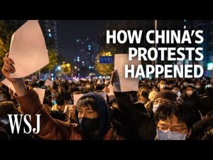 Read more about the article How China’s Biggest Protests in Decades Unfolded Over Five Days | WSJ