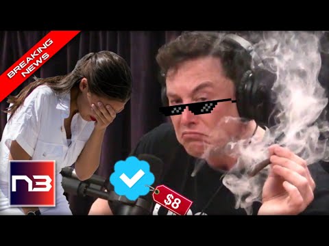 You are currently viewing Musk Owns AOC with 7 word Tweet After She Complains About 8 bucks Her Reaction is PRICELESS