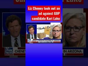 Read more about the article Tucker Carlson: Liz Cheney’s meddling is backfiring #shorts