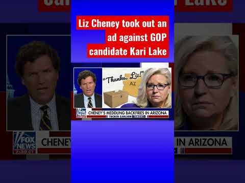 You are currently viewing Tucker Carlson: Liz Cheney’s meddling is backfiring #shorts