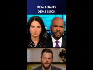 Read more about the article Jaws Drop as Democrat Says Democrats Suck #Shorts | DM CLIPS | RUBIN REPORT