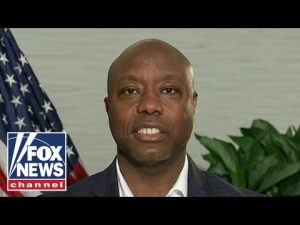 Read more about the article Tim Scott: There’s too much at stake in 2022 midterm elections