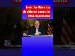 Read more about the article Mark Levin: Biden can’t stop trashing the American people #shorts