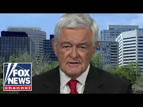 You are currently viewing Stacey Abrams is in the ‘insane wing’ of the Democratic Party: Newt Gingrich