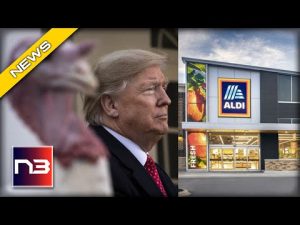 Read more about the article ALDI GOES MAGA FOR HOLIDAY DEAL