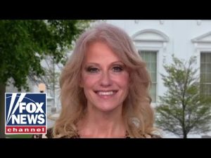 Read more about the article Kellyanne Conway: This GOP gamble is paying off