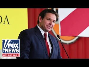 Read more about the article Florida Gov. Ron DeSantis re-elected, defeats Charlie Crist