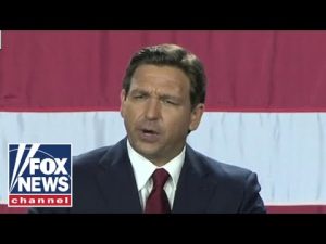 Read more about the article Ron DeSantis in victory speech: ‘Florida is where woke goes to die’