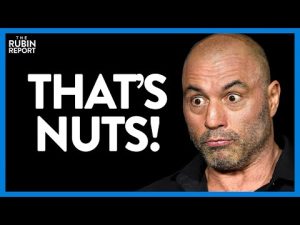 Read more about the article Watch Joe Rogan’s Face As Hears Stories of Liberals Planning to Vote Red | DM CLIPS | Rubin Report