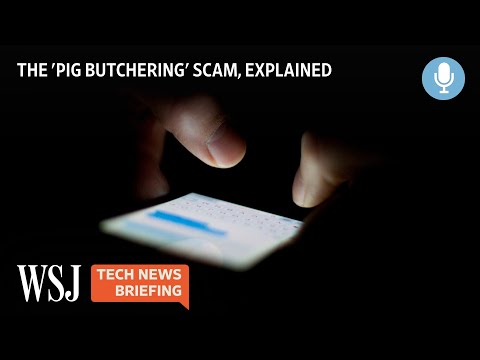 You are currently viewing ‘Pig Butchering:’ A Text-And-Crypto Scam Costing Victims Millions | Tech News Briefing Podcast | WSJ