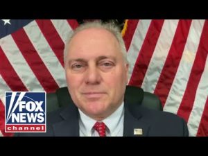 Read more about the article Scalise answers if he’ll support or challenge McCarthy for House speaker