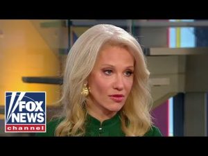 Read more about the article Kellyanne Conway: Why Ron DeSantis won a huge victory