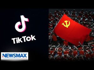 Read more about the article TikTok is Communist strategy to control: John Browne | American Agenda