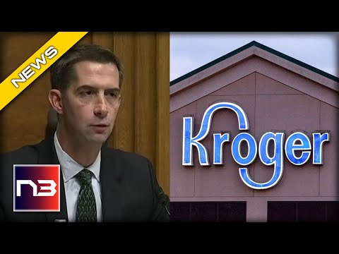 You are currently viewing HAHA! WOKE CEO Stunned After Showing Up to BEG Tom Cotton For Help