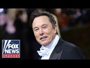 Read more about the article Media erupts over Elon Musk’s pronouns tweet