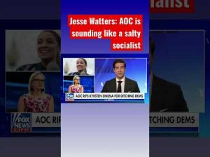 Read more about the article Jesse Watters: Democrats are fighting again #shorts