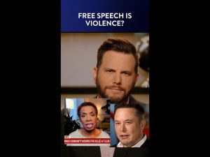 Read more about the article Watch MSNBC Guest Confuse Violence with Free Speech #Shorts | DM CLIPS | RUBIN REPORT