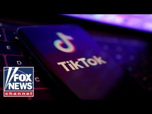 Read more about the article Bipartisan bill would ban TikTok nationwide ‘before it’s too late’