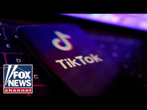 You are currently viewing Bipartisan bill would ban TikTok nationwide ‘before it’s too late’