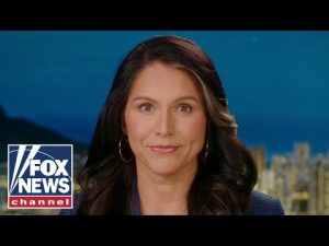 Read more about the article Tulsi Gabbard: Sam Bankman-Fried is being taken care of for having the ‘right friends’