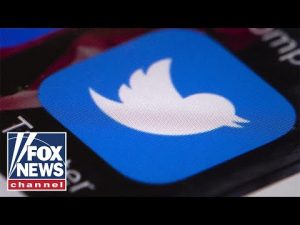 Read more about the article Government was in ‘cahoots’ with Twitter, but WH denied it: Ilya Shapiro | Will Cain Podcast