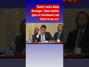 Read more about the article Tucker roasts ‘weepy man’ Adam Kinzinger #shorts