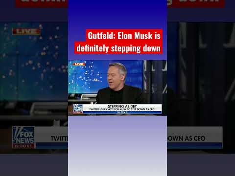 You are currently viewing Gutfeld: Elon Musk needs a ‘host’ for Twitter #shorts #shortsfeed #shortsvideo