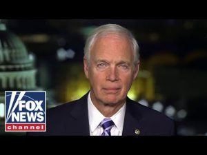 Read more about the article Sen. Ron Johnson on mass illegal immigration: ‘Completely out of control’