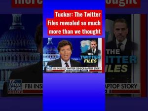 Read more about the article Tucker Carlson: What’s going on here? #shorts #shortsvideo #shortsfeed