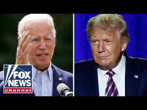 Read more about the article CNN guest tells Don Lemon Biden is worse than Trump