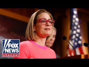 Read more about the article Kyrsten Sinema calls out Biden: ‘This is a no-brainer’